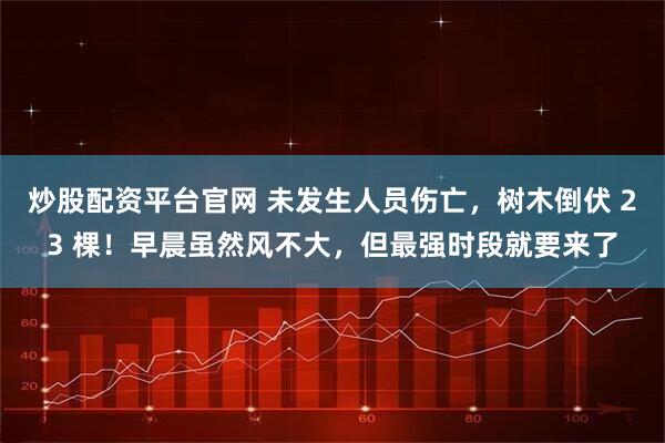 炒股配资平台官网 未发生人员伤亡，树木倒伏 23 棵！早晨虽然风不大，但最强时段就要来了