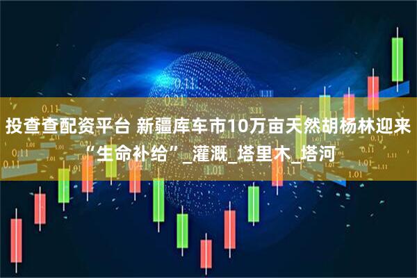 投查查配资平台 新疆库车市10万亩天然胡杨林迎来“生命补给”_灌溉_塔里木_塔河