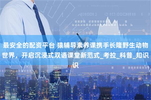 最安全的配资平台 猿辅导素养课携手长隆野生动物世界，开启沉浸式双语课堂新范式_考拉_科普_知识
