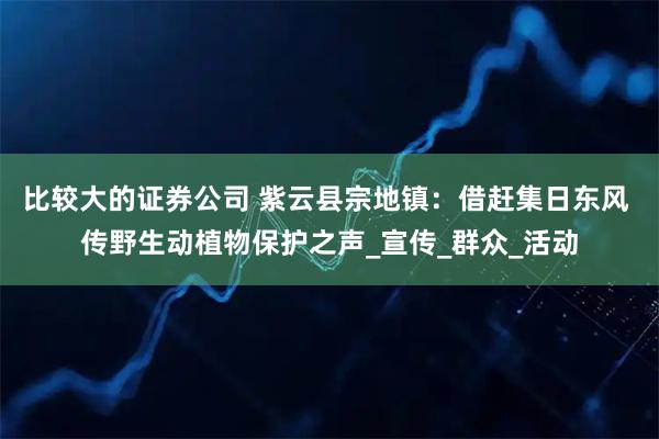 比较大的证券公司 紫云县宗地镇：借赶集日东风 传野生动植物保护之声_宣传_群众_活动